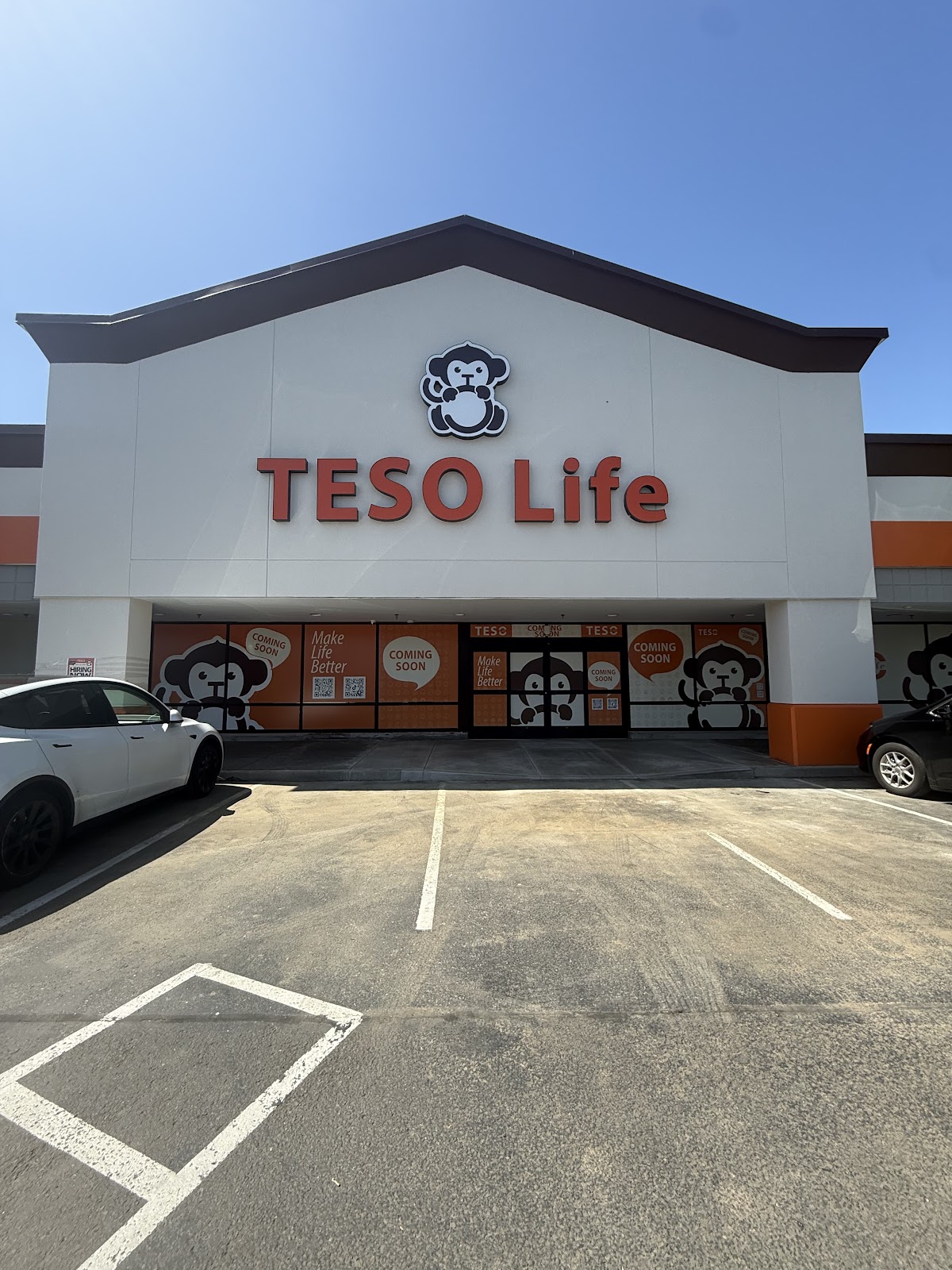Teso Life